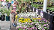 HortWeek review 2025: Top 100 products sold in garden centres - EPOS data 2025